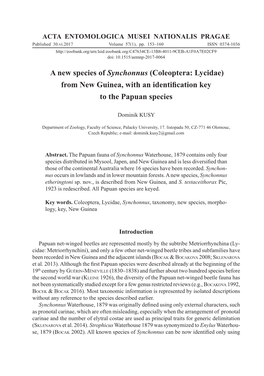A New Species of Synchonnus (Coleoptera: Lycidae) from New Guinea, with an Identiﬁ Cation Key to the Papuan Species
