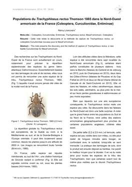 Populations Du Trachyphloeus Rectus Lemagnen R