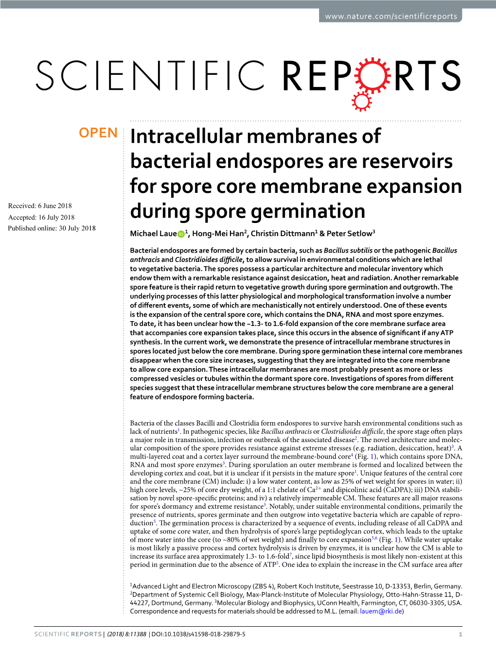Intracellular Membranes of Bacterial Endospores Are Reservoirs for Spore