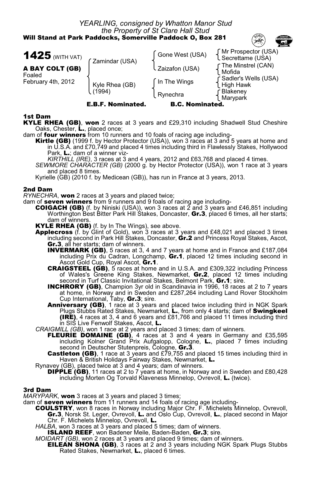 YEARLING, Consigned by Whatton Manor Stud the Property of St Clare Hall Stud Will Stand at Park Paddocks, Somerville Paddock O, Box 281