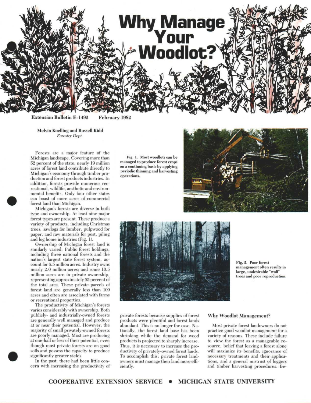 Why Manage Your Woodlot?