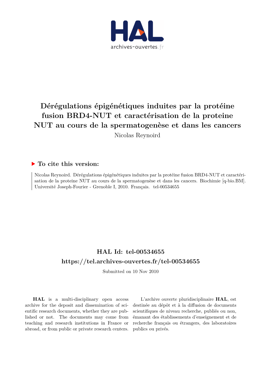 Dérégulations Épigénétiques Induites Par La Protéine Fusion BRD4-NUT Et