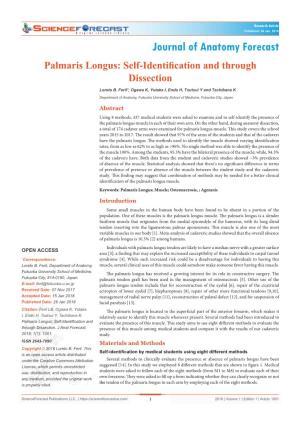 Palmaris Longus: Self-Identification and Through Dissection