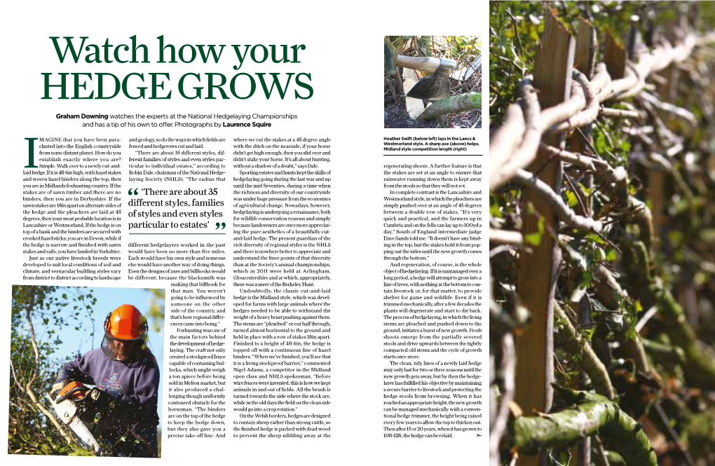 Watch How Your Hedge Grows Graham Downing Watches the Experts at the National Hedgelaying Championships and Has a Tip of His Own to Offer