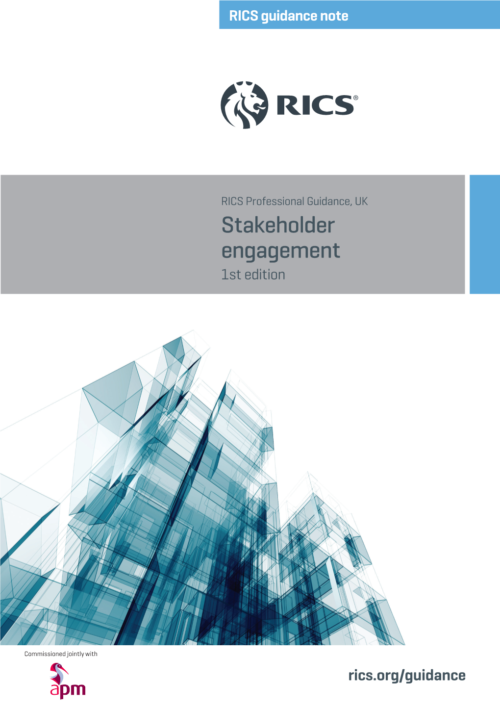 Stakeholder Engagement 1St Edition