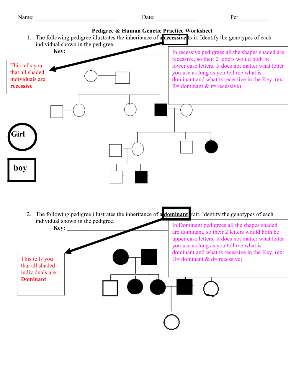 Pedigree & Human Genetic Practice Worksheet