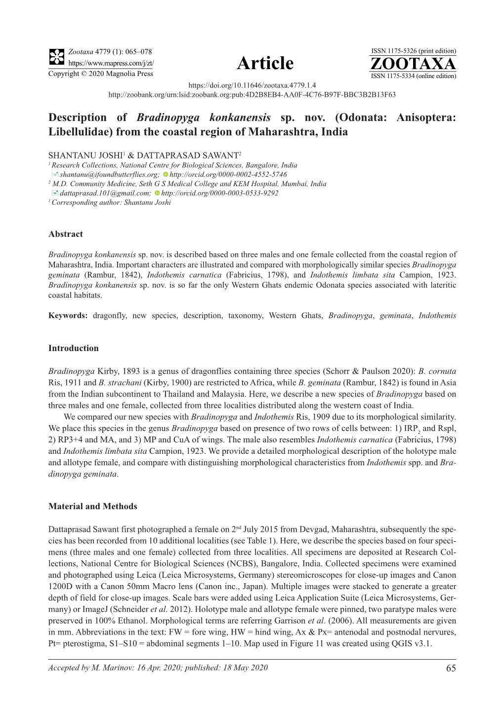 Description of Bradinopyga Konkanensis Sp. Nov. (Odonata: Anisoptera: Libellulidae) from the Coastal Region of Maharashtra, India