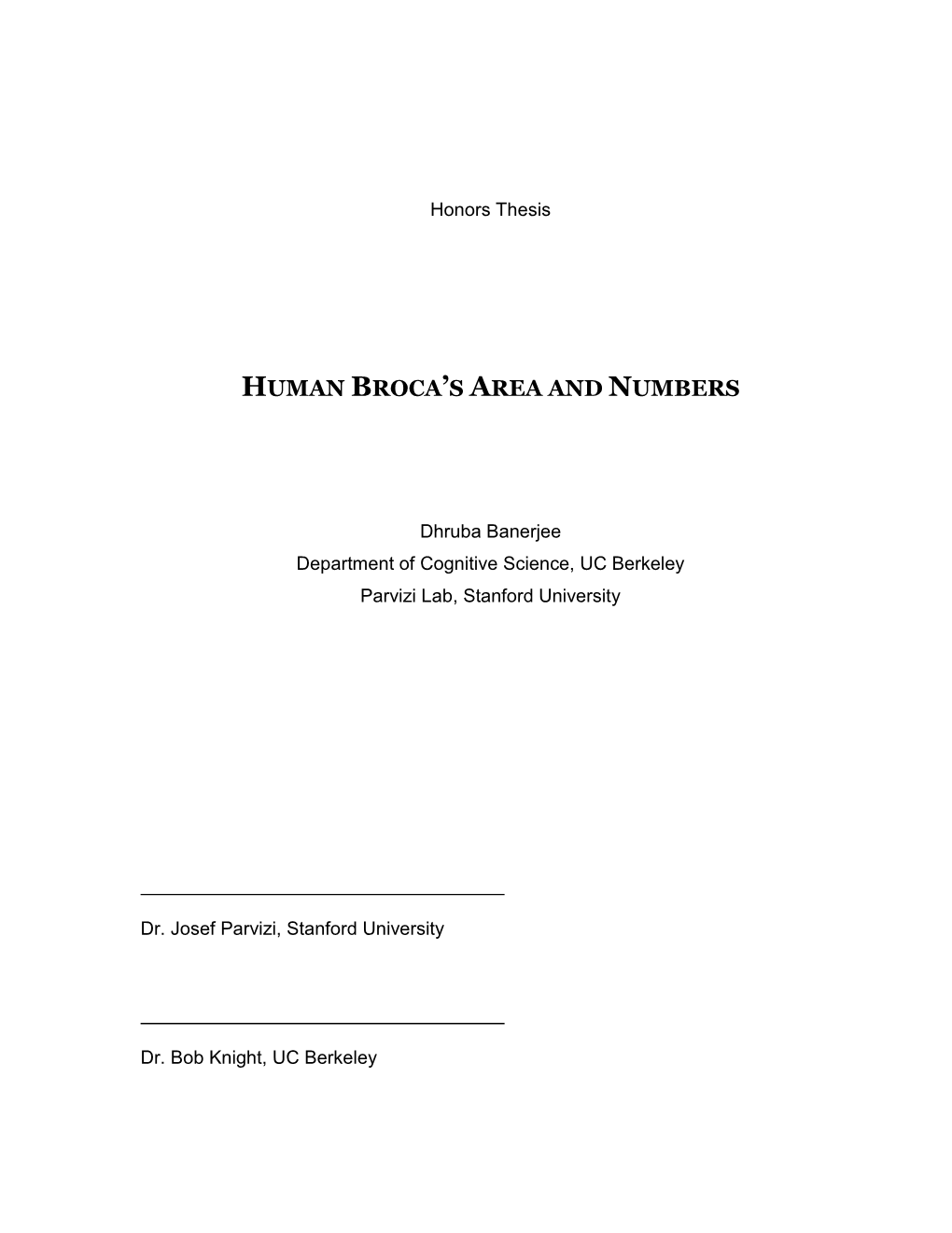 Human Broca's Area and Numbers