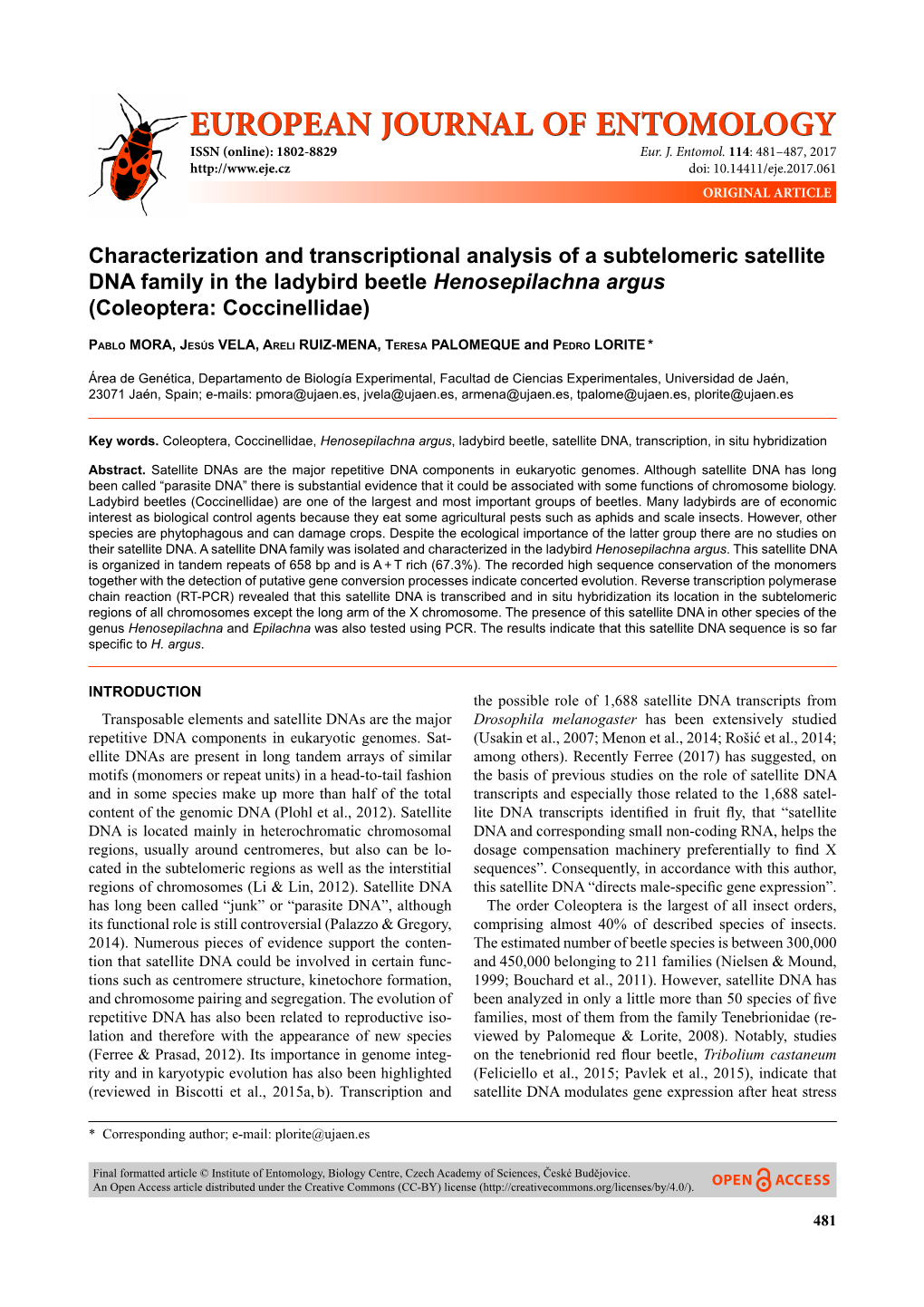 Characterization and Transcriptional Analysis of a Subtelomeric Satellite DNA Family in the Ladybird Beetle Henosepilachna Argus (Coleoptera: Coccinellidae)