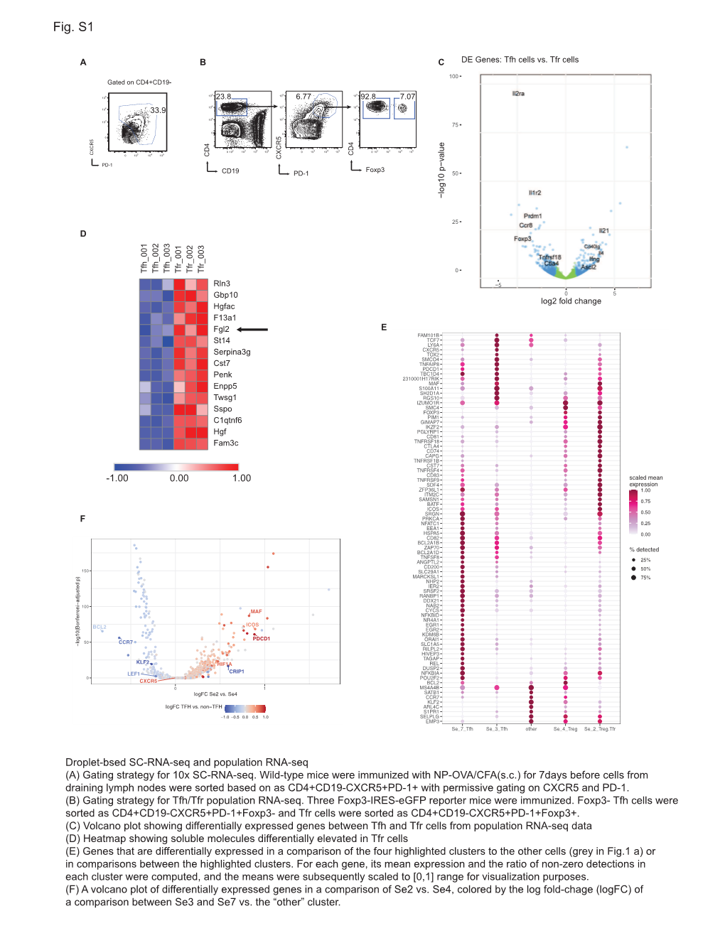 Droplet-Bsed SC-RNA-Seq and Population RNA-Seq (A) Gating Strategy for 10X SC-RNA-Seq