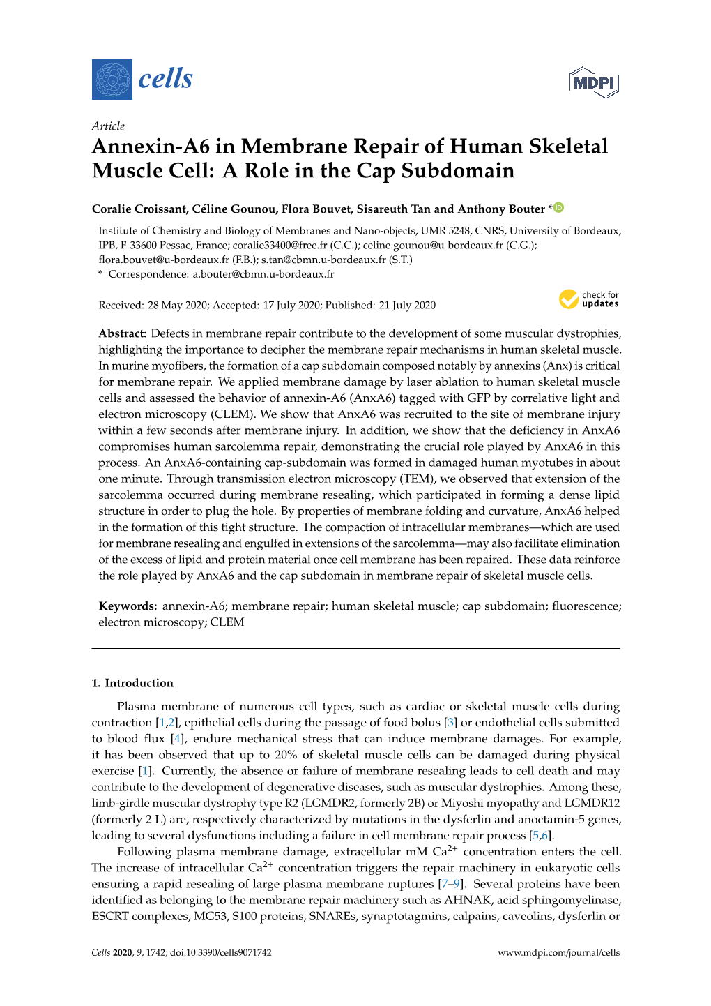 Annexin-A6 in Membrane Repair of Human Skeletal Muscle Cell: a Role in the Cap Subdomain