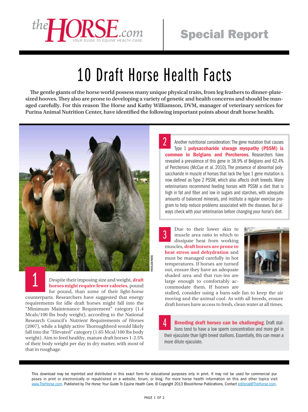 10 Draft Horse Health Facts the Gentle Giants of the Horse World Possess Many Unique Physical Traits, from Leg Feathers to Dinner-Plate- Sized Hooves