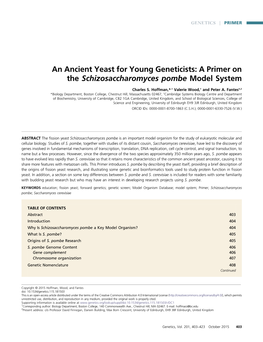 An Ancient Yeast for Young Geneticists: a Primer on the Schizosaccharomyces Pombe Model System