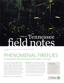 Tennessee Field Notes CONNECT with NATURE: PHENOMENAL FIREFLIES a Conversation with Tennessee Firefly Expert, Lynn Faust