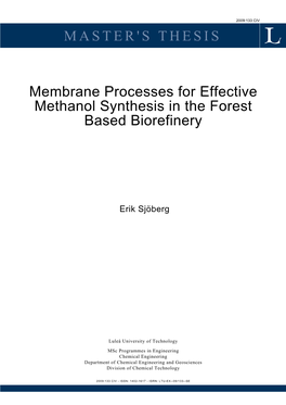 MASTER's THESIS Membrane Processes for Effective Methanol