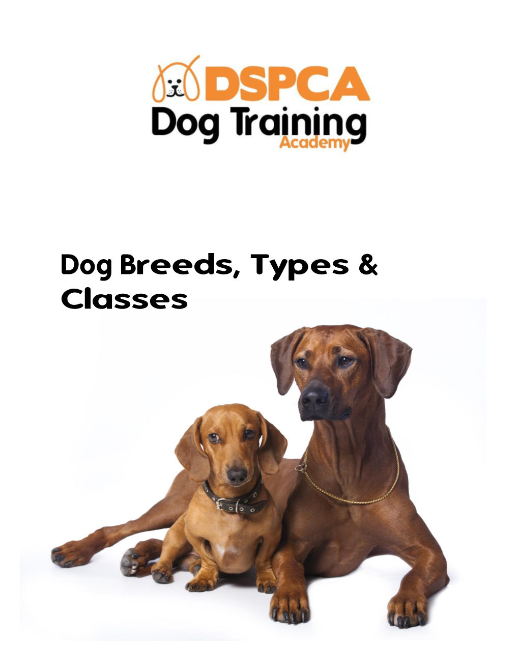 Dog Breeds, Types & Classes