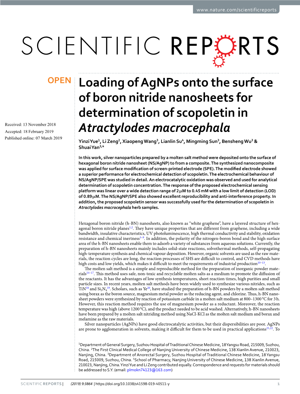 Loading of Agnps Onto the Surface of Boron Nitride Nanosheets For