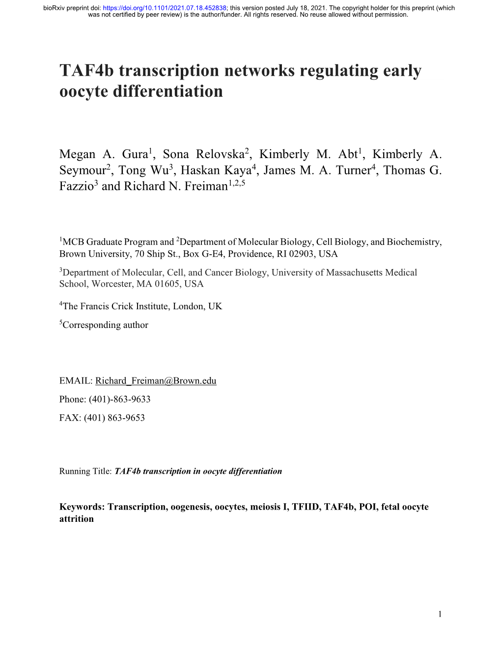 Taf4b Transcription Networks Regulating Early Oocyte Differentiation