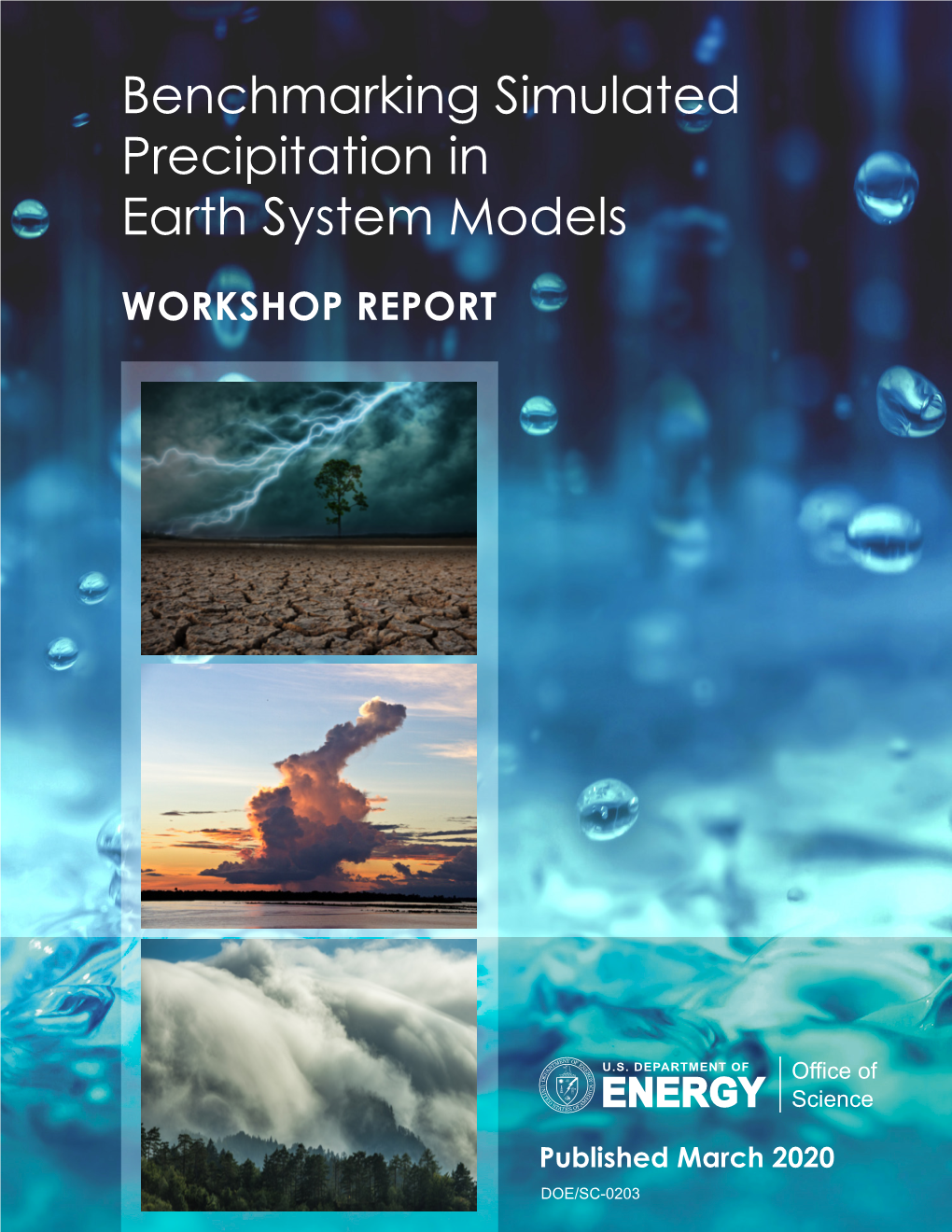 Benchmarking Simulated Precipitation in Earth System Models