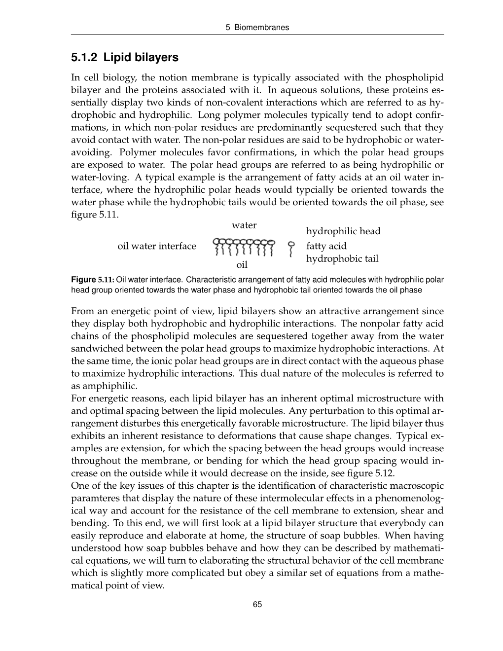 5.1.2 Lipid Bilayers in Cell Biology, the Notion Membrane Is Typically Associated with the Phospholipid Bilayer and the Proteins Associated with It