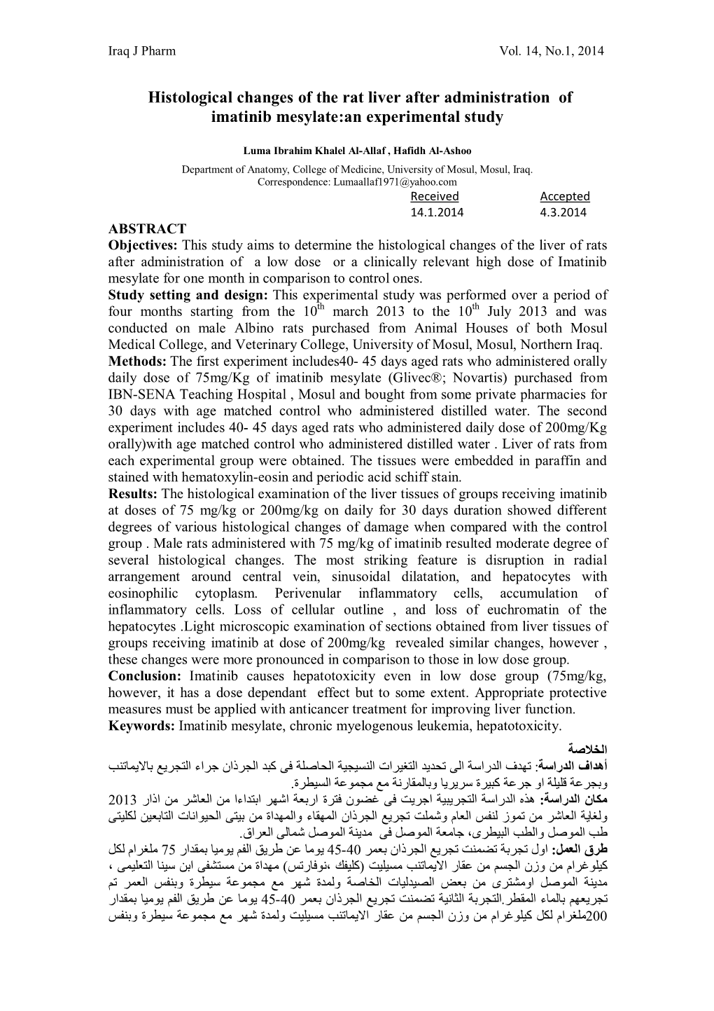 Histological Changes of the Rat Liver After Administration of Imatinib Mesylate:An Experimental Study