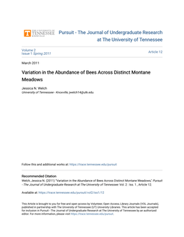 Variation in the Abundance of Bees Across Distinct Montane Meadows