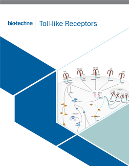 Toll-Like Receptors