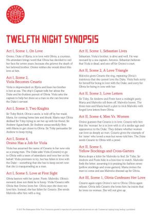 Twelfth Night Synopsis