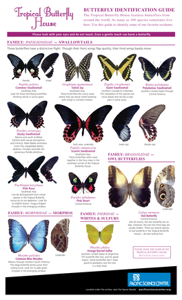 BUTTERFLY IDENTIFICATION GUIDE the Tropical Butterfly House Features Butterflies from Around the World