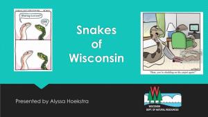 Snakes of Wisconsin