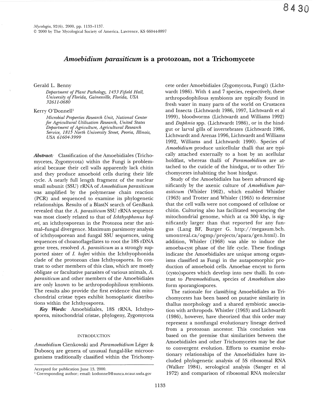 Amoebidium Parasiticum Is a Protozoan, Not a Trichomycete