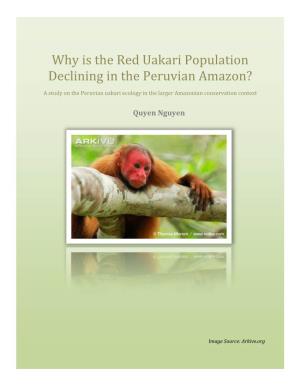 Why Is the Red Uakari Population Declining in the Peruvian Amazon?