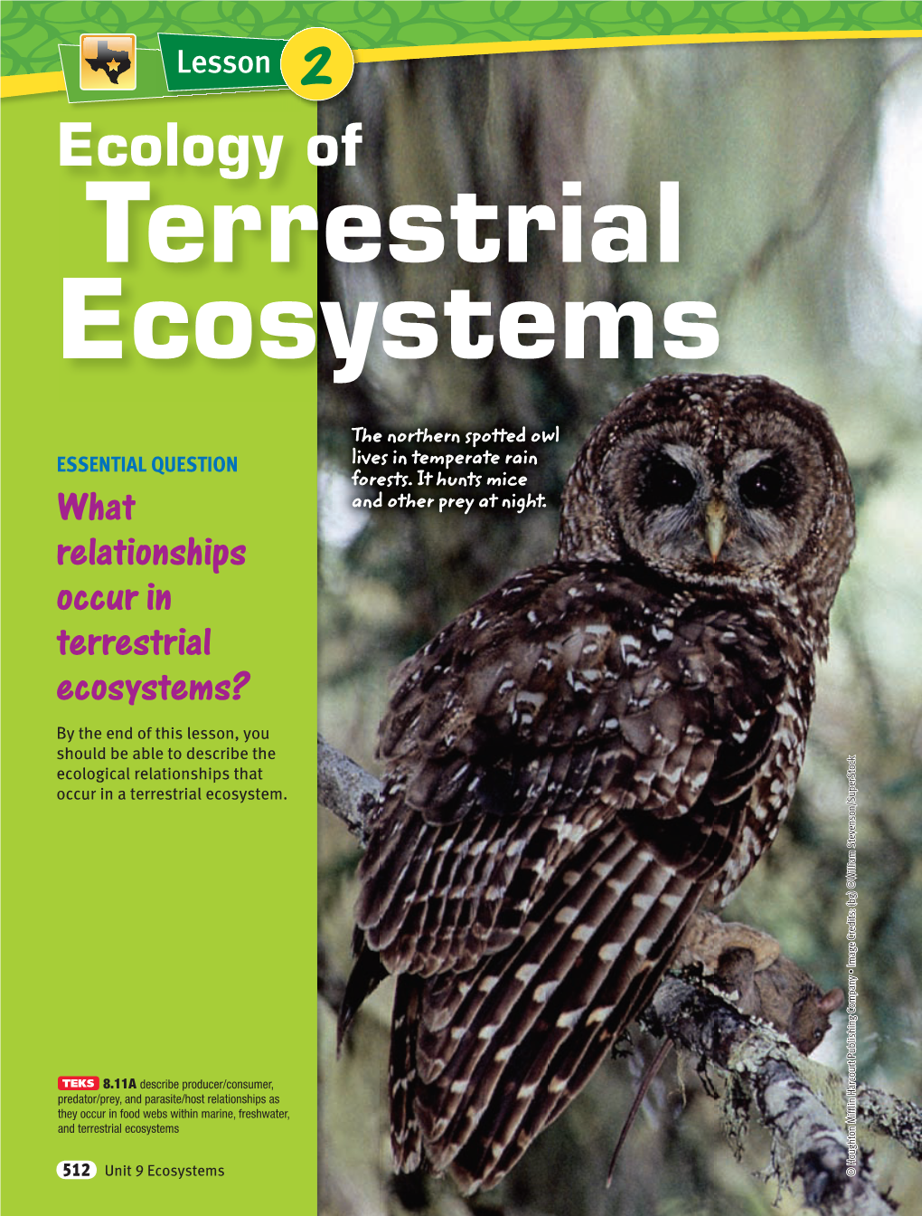 Ecology of Terrestrial Ecosystems 515