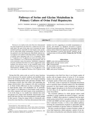 Pathways of Serine and Glycine Metabolism in Primary Culture of Ovine Fetal Hepatocytes