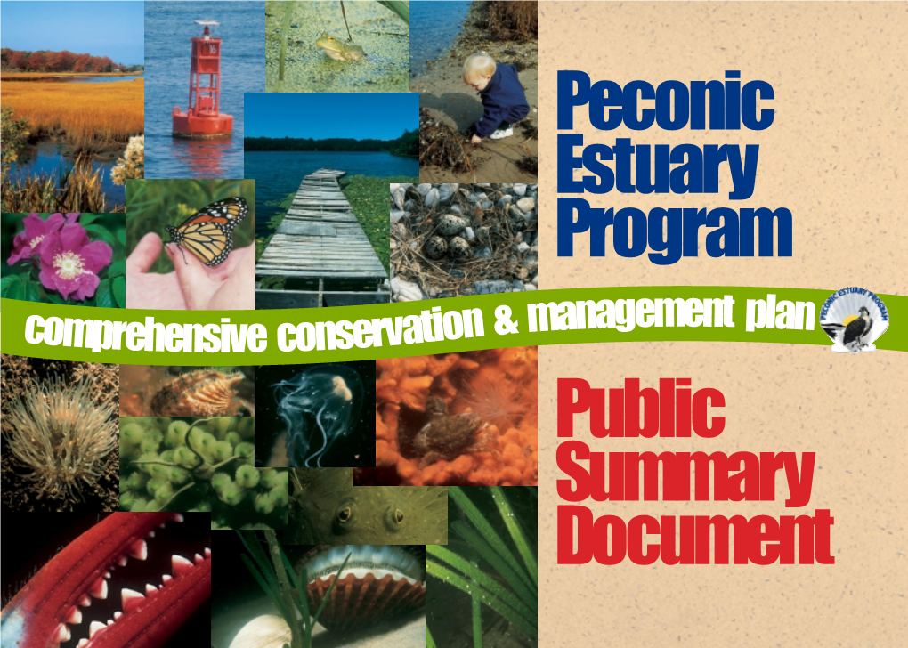Peconic Estuary Program Comprehensive Conservation
