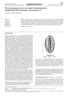 Stemonuraceae / Icacinaceae Sl