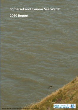 Somerset and Exmoor Sea Watch 2020 Report