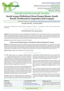 Social Wasps (Polistinae) from Pampa Biome: South Brazil, Northeastern Argentina and Uruguay