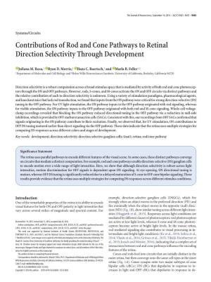 Contributions of Rod and Cone Pathways to Retinal Direction Selectivity Through Development