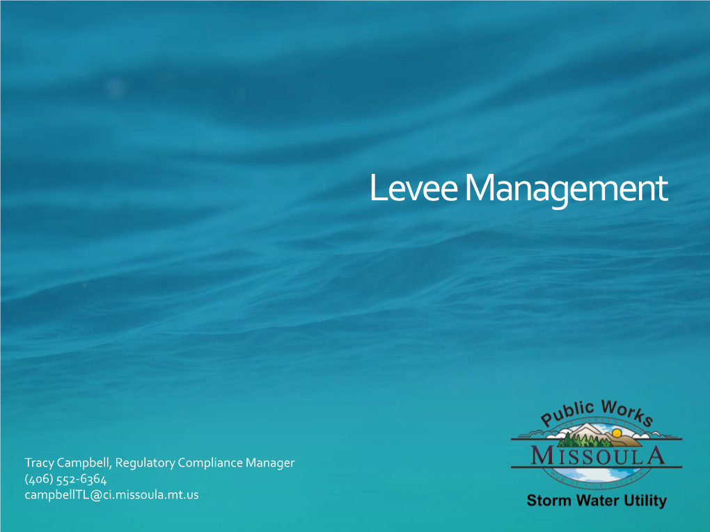 Levee Management