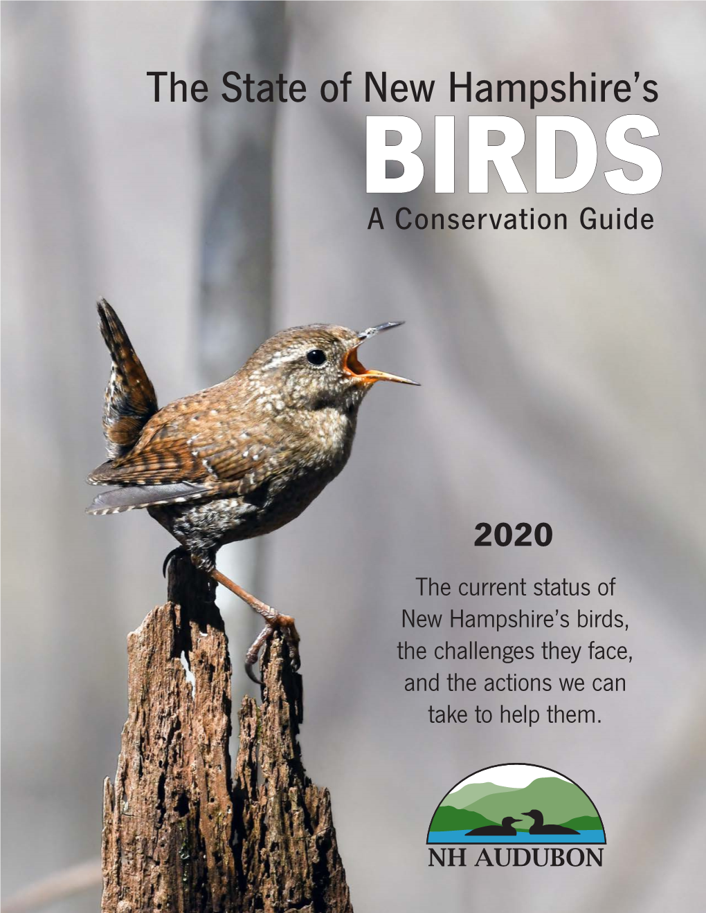 Download the 2020 State of the Birds Report