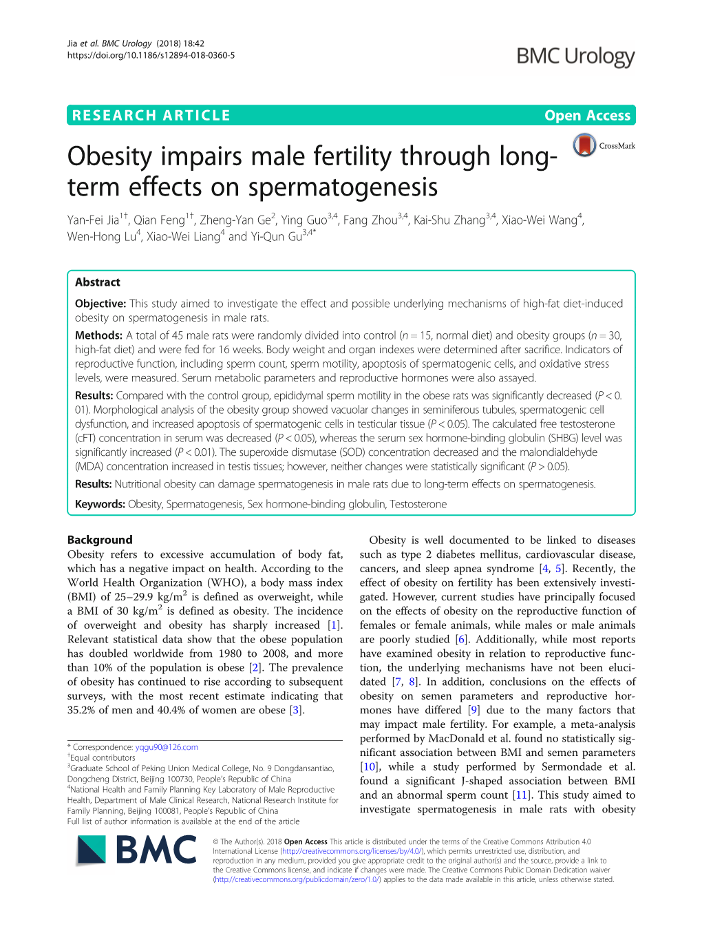 Obesity Impairs Male Fertility Through Long-Term Effects on Spermatogenesis