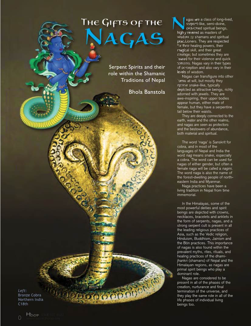 The Gifts of the Serpent-Like, Semi-Divine, Nawakened Spiritual Beings, Highly Revered As Masters of Wisdom by Shamans and Spiritual Practitioners