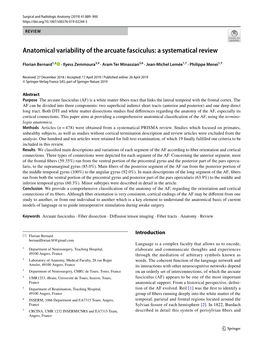 Anatomical Variability of the Arcuate Fasciculus: a Systematical Review