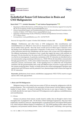 Endothelial-Tumor Cell Interaction in Brain and CNS Malignancies