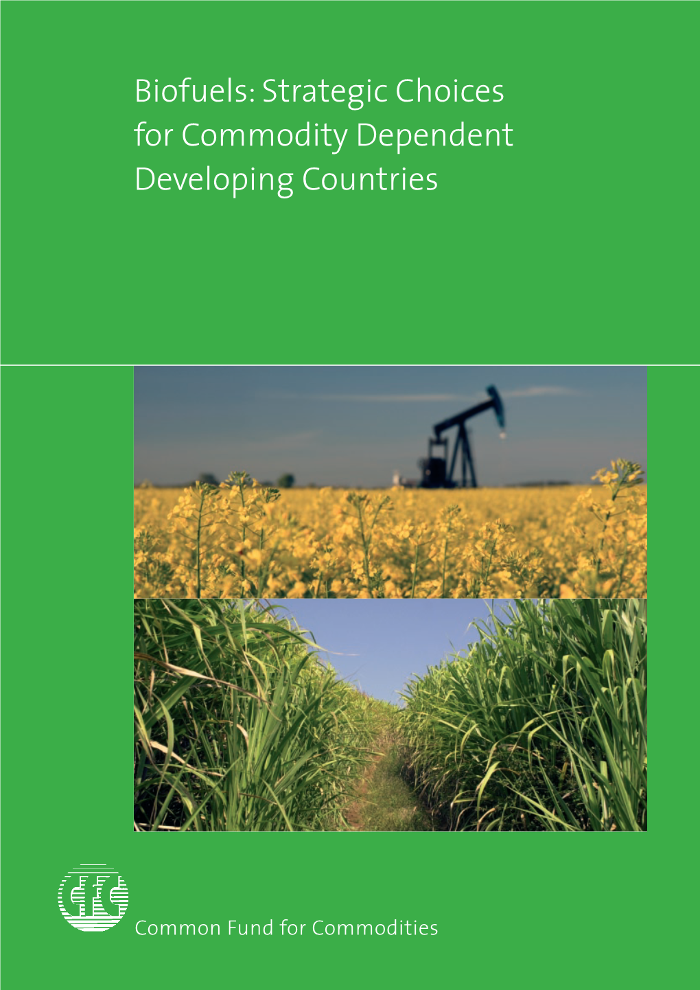 Biofuels: Strategic Choices for Commodity Dependent Developing Countries