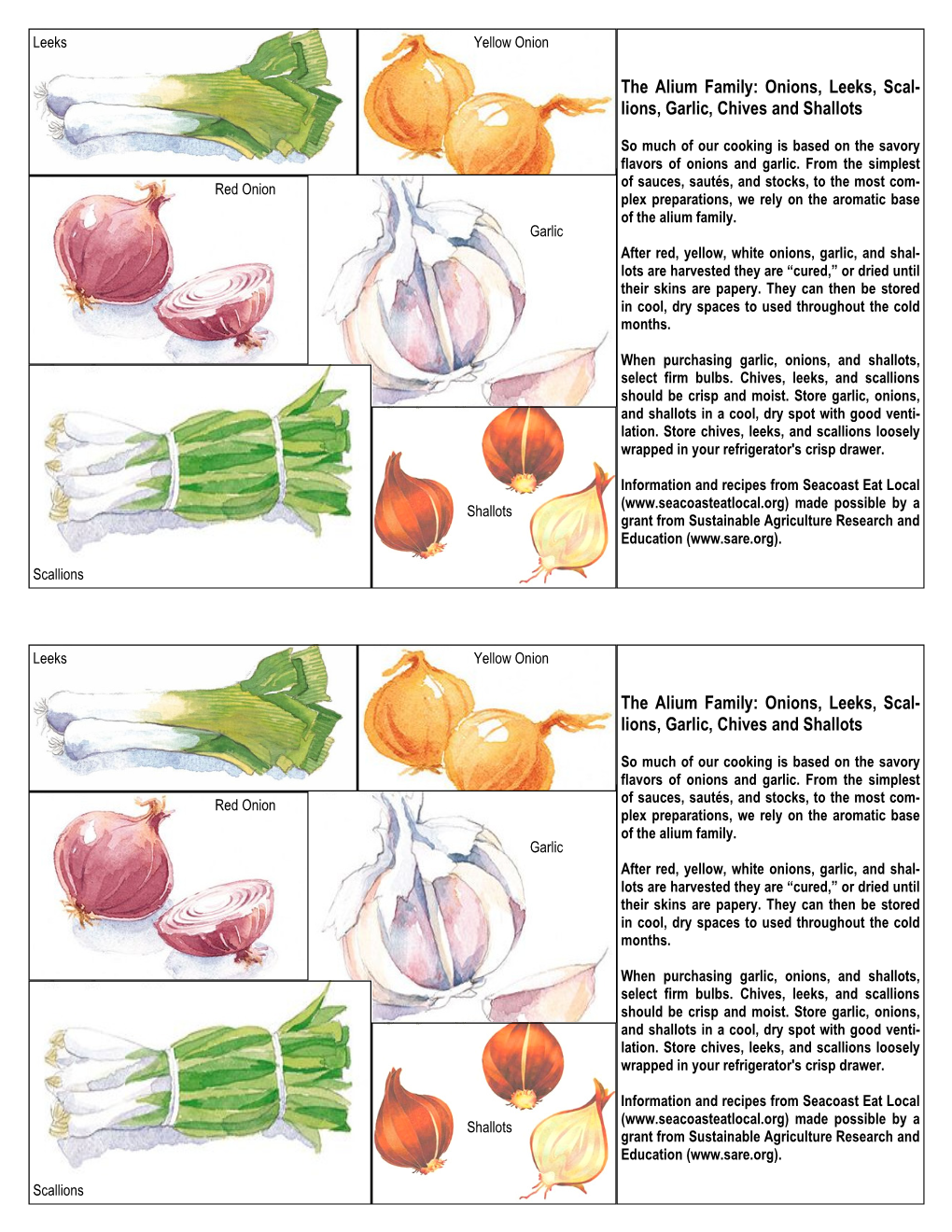 The Alium Family: Onions, Leeks, Scal- Lions, Garlic, Chives and Shallots