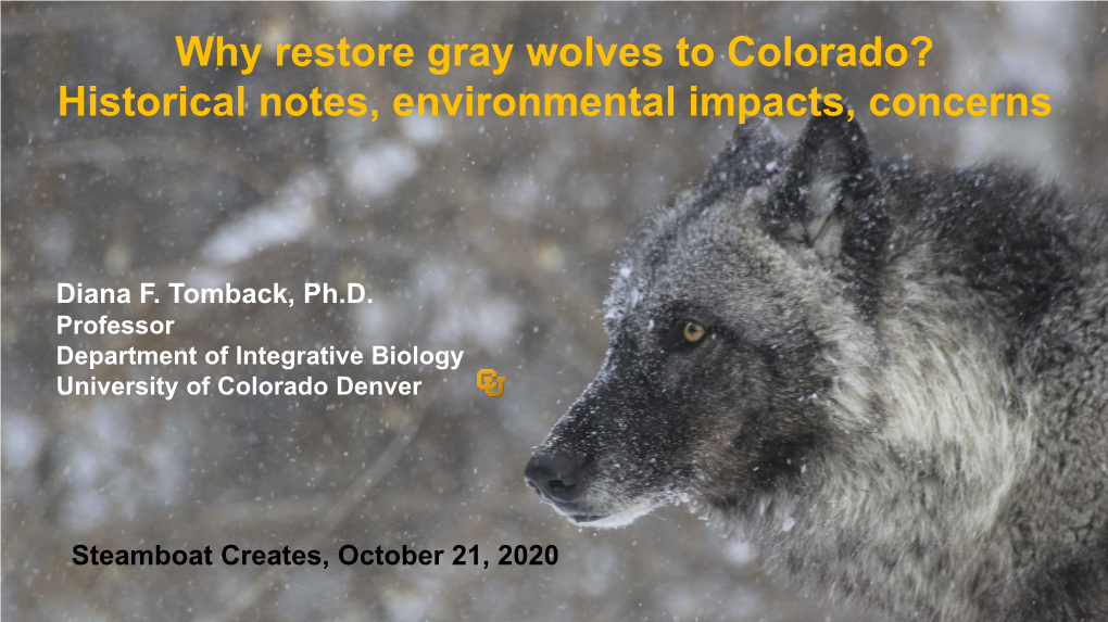 Why Restore Gray Wolves to Colorado? Historical Notes, Environmental Impacts, Concerns