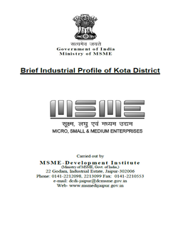 Brief Industrial Potential Report of Dist