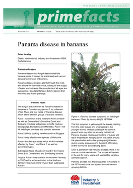 Panama Disease in Bananas